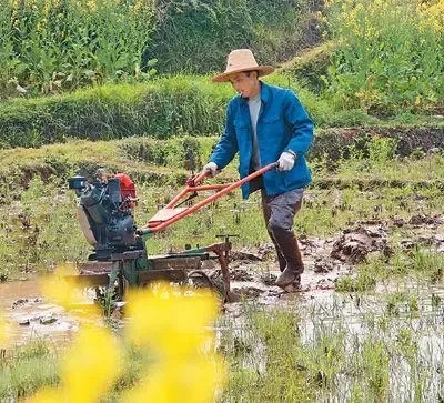 疫情防控的基本常識是什么？（疫情防控和春耕備耕兩不誤）